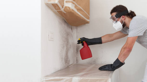 Professional Mold Remediation technician working in Medford, MA