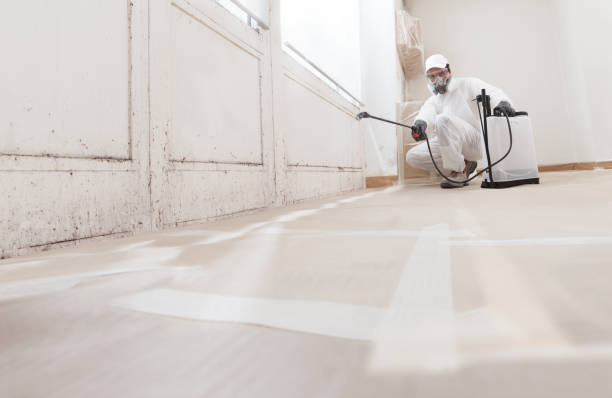 24/7 Emergency Mold Remediation experts in Medford, MA